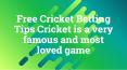 100% Free Cricket Betting Tips | IPL 2020 Match | Cricket betting odds PowerPoint PPT Presentation