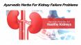 ayurvedic treatment for kidney failure