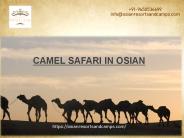 Amazing Experience Camel Safari in Osian