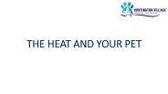 The Heat and Your Pet