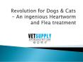 Revolution for Dogs – An ingenious Heartworm and Flea treatment PowerPoint PPT Presentation