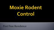Moxie Rodent Control
