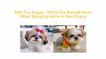 Shih Tzu Puppy - What You Should Know When Bringing Home A New Puppy PowerPoint PPT Presentation