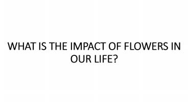 WHAT IS THE IMPACT OF FLOWERS IN OUR LIFE?