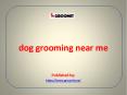 dog grooming near me PowerPoint PPT Presentation