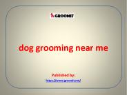 dog grooming near me