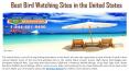 Best Bird Watching Sites in the United States PowerPoint PPT Presentation