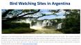 Bird Watching Sites in Argentina PowerPoint PPT Presentation