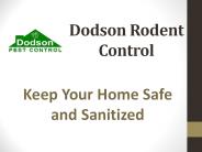 Dodson Rodent Control (1)