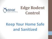 Edge Rodent Control (1)