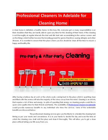 Professional Cleaners In Adelaide for Cleaning Home