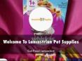 Lancastrian Pet Supplies Presentation PowerPoint PPT Presentation