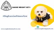 Dog Exercise Fitness Vest