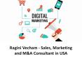 Ragini Vecham - Sales, Marketing and M&A Consultant in USA PowerPoint PPT Presentation