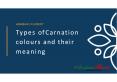 Types of carnation colors and their meaning PowerPoint PPT Presentation