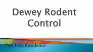 Dewey Rodent Control