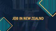 Job New Plymouth for Job Seekers