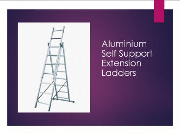 Aluminium Self Support Extension Ladders