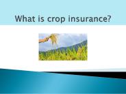 What is crop insurance?