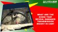 What are the Signs that Reveal Damaged Transmission Mount in Car PowerPoint PPT Presentation