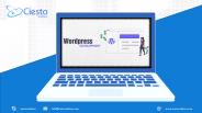 General Phenomena about WordPress Version 5.2
