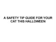 A SAFETY TIP GUIDE FOR YOUR CAT THIS HALLOWEEN PowerPoint PPT Presentation