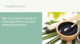 Why is activated charcoal an active ingredient in all teeth whitening products? PowerPoint PPT Presentation