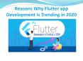 Reasons Why Flutter app development is Trending in 2020 PowerPoint PPT Presentation