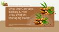 How to Use Edibles For Managing Your Condition Properly? PowerPoint PPT Presentation