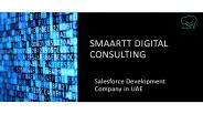 salesforce development company in UAE |Smaartt Digital consulting
