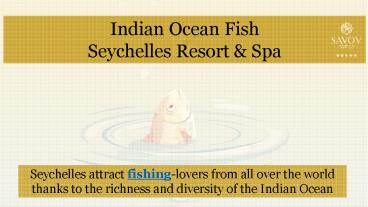 Indian Ocean Fish by Savoy Resort & Spa
