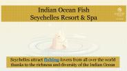 Indian Ocean Fish by Savoy Resort & Spa