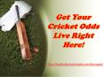 offering cricket odds checker to our viewers PowerPoint PPT Presentation