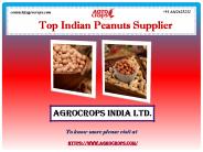 Get Top Indian Peanuts Supplier