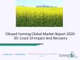 Global General Crop Farming Market Growth Opportunity Forecasts To 2023 PowerPoint PPT Presentation