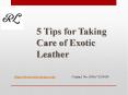 5 Tips for Taking Care of Exotic Leather PowerPoint PPT Presentation