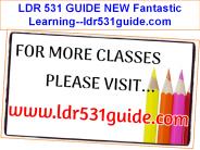 LDR 531 GUIDE NEW Fantastic Learning--ldr531guide.com