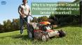 Why It Is Important To Consult a Professional Lawn Maintenance Service In Brantford? PowerPoint PPT Presentation