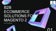B2B Ecommerce Solutions for Magento 2