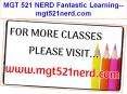 MGT 521 NERD Fantastic Learning--mgt521nerd.com PowerPoint PPT Presentation