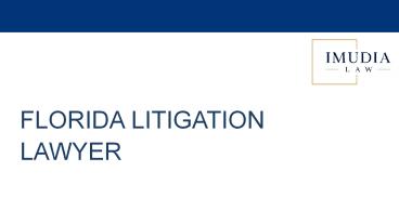 Florida Litigation Lawyer - Imudia Law