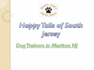 The Best and Professional Dog Trainers in Marlton NJ