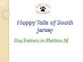 The Best and Professional Dog Trainers in Marlton NJ PowerPoint PPT Presentation