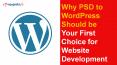 Why PSD to WordPress Should be Your First Choice for Website Development PowerPoint PPT Presentation
