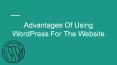 Advantages Of Using WordPress For The Website PowerPoint PPT Presentation