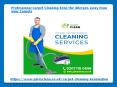 Professional Carpet Cleaning keep the Allergen away from your Carpets PowerPoint PPT Presentation