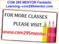 COM 295 MENTOR Fantastic Learning--com295mentor.com PowerPoint PPT Presentation