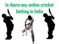 Top Cricket Betting Sites in India | The online cricket betting PowerPoint PPT Presentation