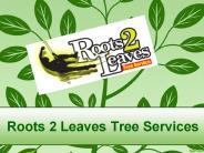 Roots 2 Leaves Tree Services