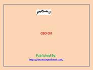 CBD Oil